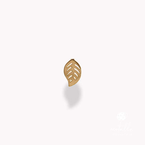 گل گوش برگ  گل گوش زنانه گل گوش دخترانه خرید آنلاین طلا طلا باکیفیت گوشواره دخترانه گوشواره جدید گوشواره طلا اسپرت گوشواره حلقه ای طلا گوشواره طلا جدید با کیفیت مجموعه طلا و جواهرات مطلا